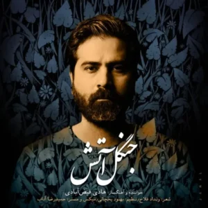 دانلود آهنگ جدید هادی فیض آبادی جنگل آتش دانلود آهنگ جدید هادی فیض آبادی جنگل آتش