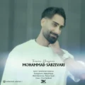 دانلود آهنگ جدید محمد سبزواری تموم دنیامی