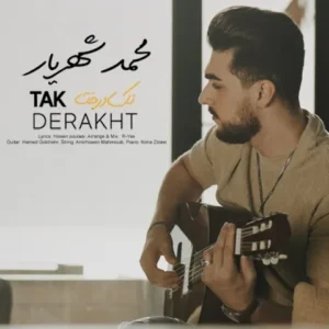 دانلود آهنگ جدید محمد شهریار تک درخت دانلود آهنگ جدید محمد شهریار تک درخت