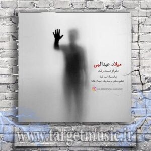 دانلود آهنگ جدید میلاد عبدالهی دلم از دست رفت دانلود آهنگ جدید میلاد عبدالهی دلم از دست رفت