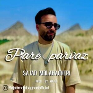 دانلود آهنگ جدید سجاد ملاباقری بال پرواز