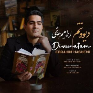 دانلود آهنگ جدید ابراهیم هاشمی دیوونتم