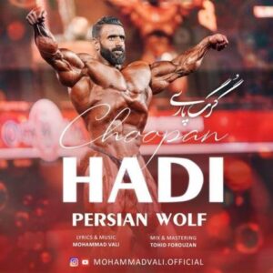 دانلود آهنگ جدید محمد والی گرگ پارسی