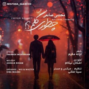 دانلود آهنگ جدید مجتبی صانعی چطوری گلم