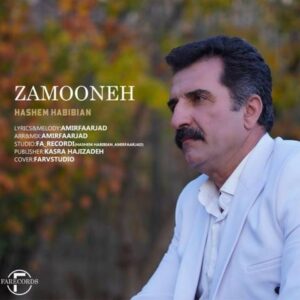 دانلود آهنگ جدید هاشم حبیبیان زمونه