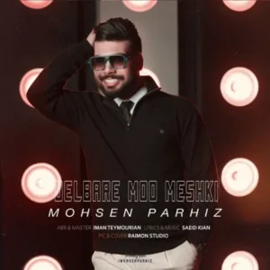 دانلود آهنگ جدید محسن پرهیز دلبر مو مشکی دانلود آهنگ جدید محسن پرهیز دلبر مو مشکی
