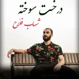 دانلود آهنگ جدید شهاب فلاح درخت سوخته دانلود آهنگ جدید شهاب فلاح درخت سوخته