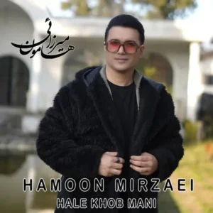 دانلود آهنگ جدید هامون میرزائی حال خوب منی دانلود آهنگ جدید هامون میرزائی حال خوب منی