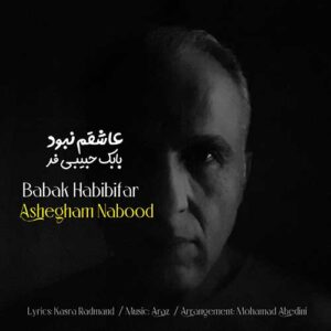 دانلود آهنگ جدید بابک حبیبی فر عاشقم نبود
