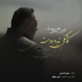 دانلود آهنگ جدید امیر علیمردانی کاشکی ندیده بودمت