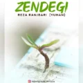 دانلود آهنگ جدید رضا رنجبری زندگی