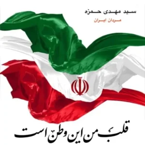 دانلود آهنگ جدید سید مهدی حمزه مردان ایران