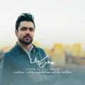 دانلود آهنگ جدید بهمن کاویانی خوب تر از خوب