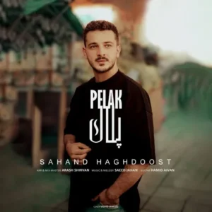 دانلود آهنگ جدید سهند حقدوست پلاک دانلود آهنگ جدید سهند حقدوست پلاک