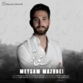 دانلود آهنگ جدید میثم مزروعی برای تو