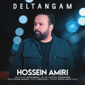 دانلود آهنگ جدید حسین امیری دلتنگم دانلود آهنگ جدید حسین امیری دلتنگم
