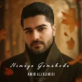 دانلود آهنگ جدید امیر علی حمیدی نیمه ی گمشده