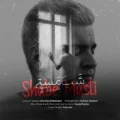 دانلود آهنگ جدید مجتبی دل زنده شب مستی