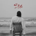 دانلود آهنگ جدید فردین ناجی پروانه