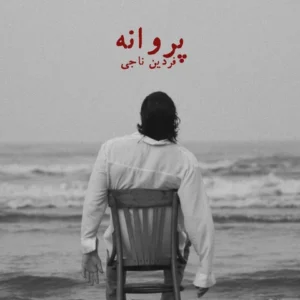 دانلود آهنگ جدید فردین ناجی پروانه دانلود آهنگ جدید فردین ناجی پروانه