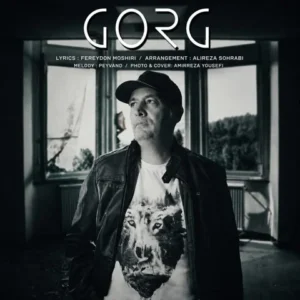 دانلود آهنگ جدید پیوند گرگ