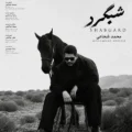 دانلود آهنگ جدید محمد شجاعی شبگرد