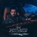 رامین مبارکی - رامین مبارکی داری میری